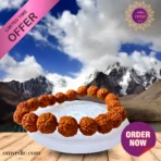 Rudraksha Good Luck Power Bracelet